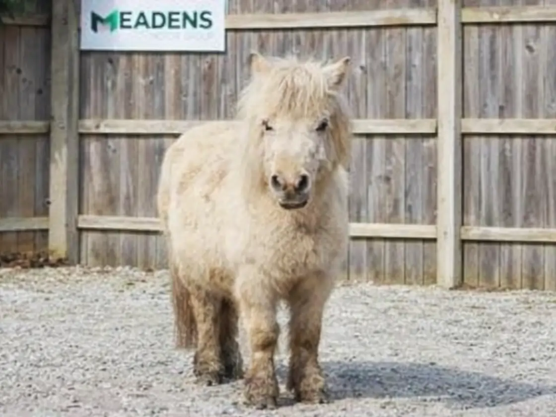 Multifunctional Seats